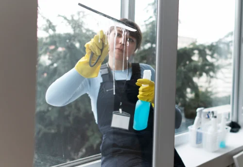 Nettoyage de vitres intérieures et extérieures à Aurensan